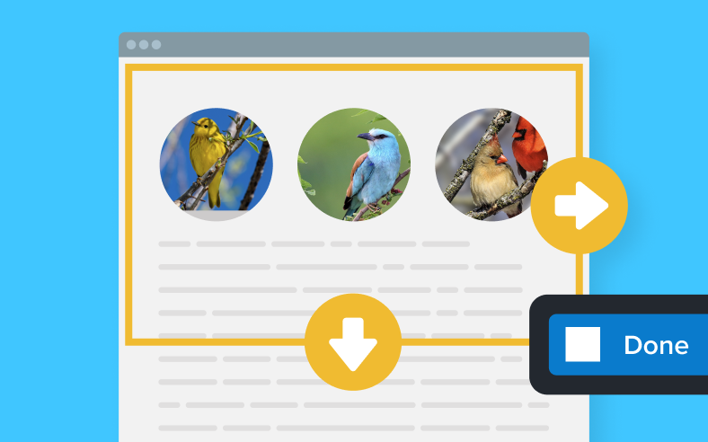 Snagit scrolling capture interface selecting a long page beyond the visible screen